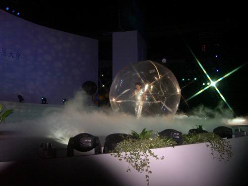 嵇龙生,陈婉芬双皇冠大使表扬大会-照片