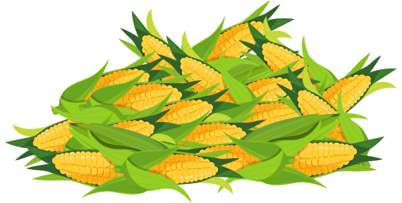 玉米